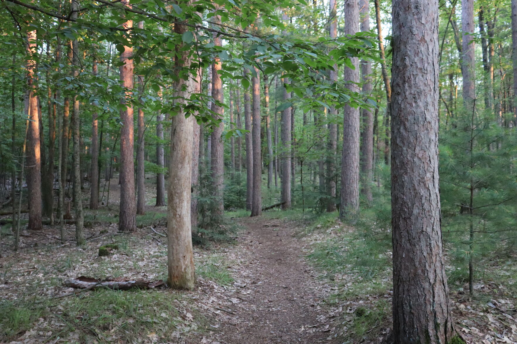 Brunet Island State Park